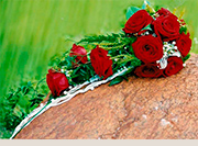 Brautstrauß Rosen