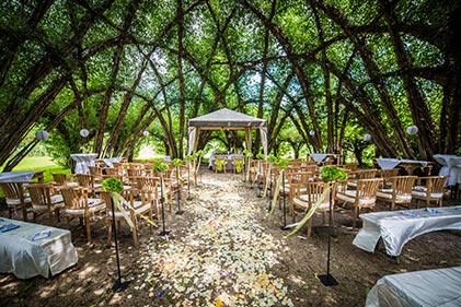 Heiraten im Weidendom (copyright: SATAMA GmbH)