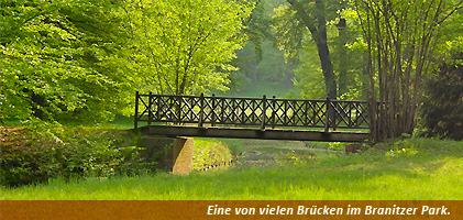 Foto mit Holzbruecke, Wiese und hohen Baeumen im Branitzer Park